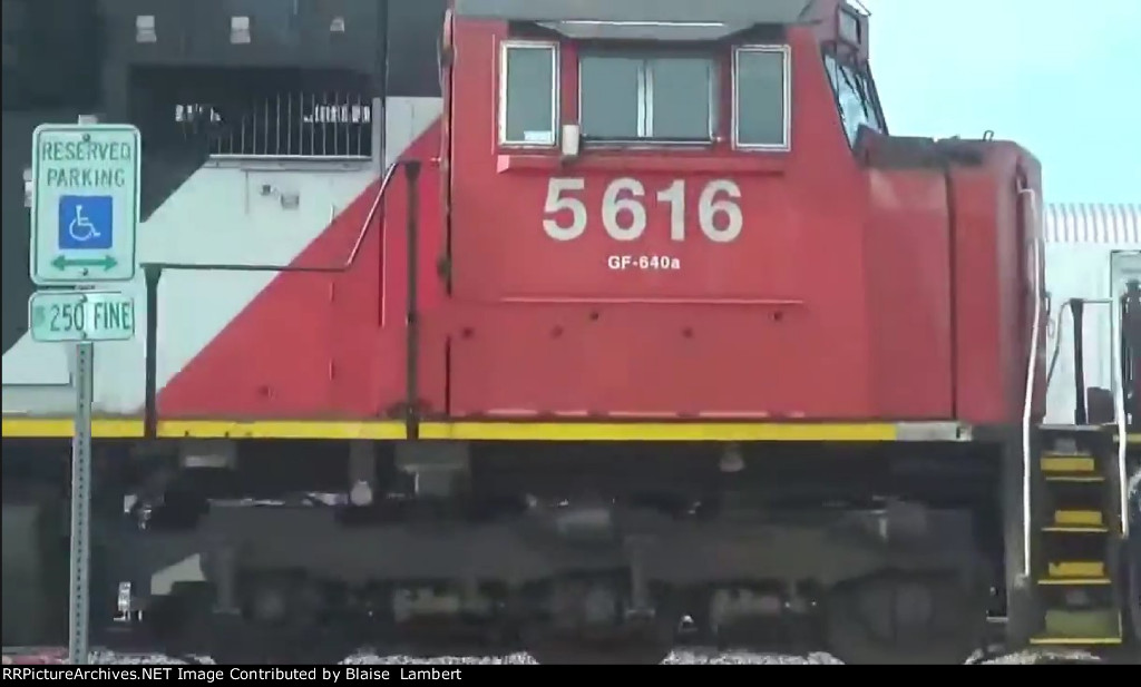 CN A431